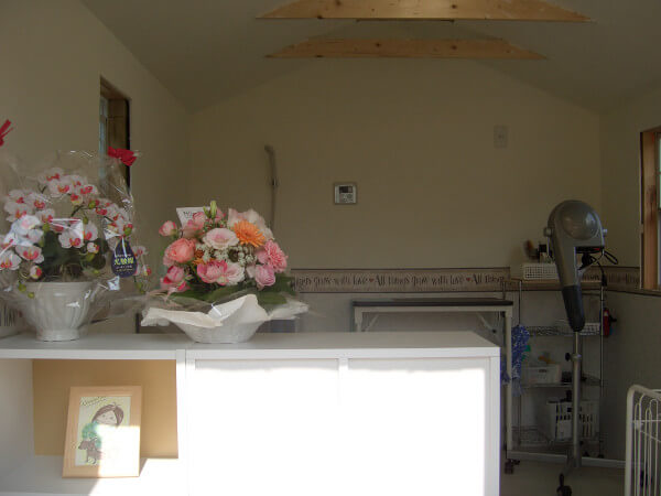 茨城県　高木さん　ブラッドフォード施工　内装