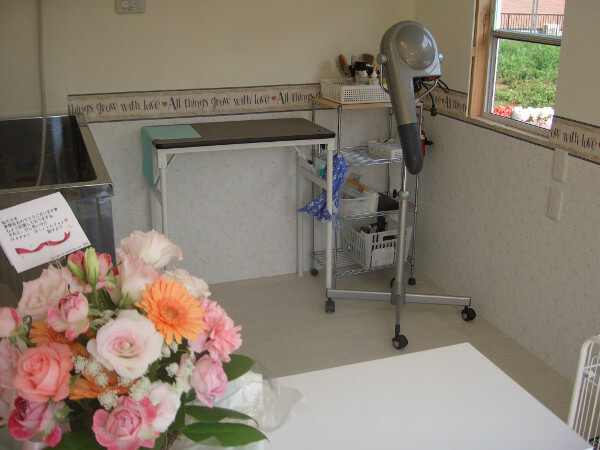 茨城県　高木さん　ブラッドフォード施工　内装